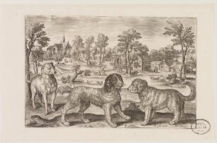 Hunde aus (Animalium Qvaddrupedum)