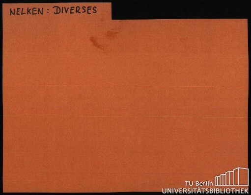 NELKEN: Diverses ABB.-ZWERG