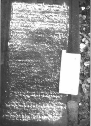 Grabstein 1369 (Index: 99900299) Material: Sandstein Zustand: völlig verwittert, Sockel gespalten, Stele liegt Maße HxBxT: 93x65x37 cm Beschreibung: aufgesockelte Stele mit Dachaufsatz, Schriftfeld mit Rundbogenfries, vom Sockel gestürzt, Sockel gespalten Symbolik: Rundbogenfries: Grabstein 1369A