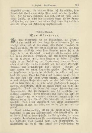 Neuntes Kapitel. Das Abenteuer