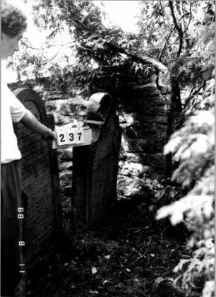 Grabstein 237