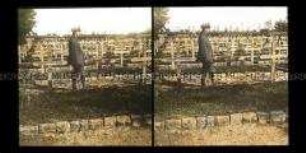 Soldat auf dem Ehrenfriedhof, Focsani