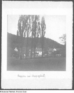 Foto, Dresden-Hosterwitz