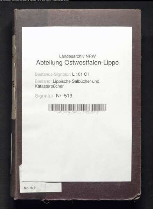 Salbuch der Stadt Blomberg von 1863, Bd. 2