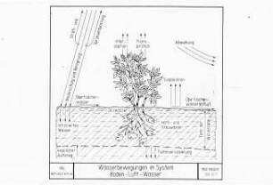 Wasserbewegungen im System Boden-Luft-Wasser