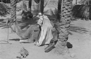 Beladen eines Dromedars : Ein Tuareg belädt sein Dromedar