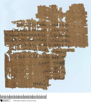 Demotischer Papyrus, Brief