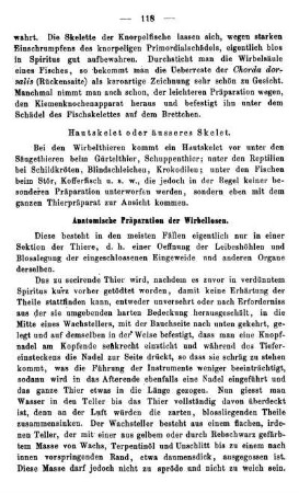 Anatomische Präparation der Wirblellosen.