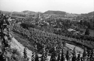 Oberrotweil: Blick von den Weinbergen auf Oberrotweil
