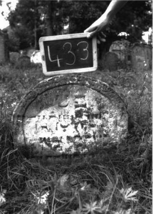 Grabstein 433 (Index: 100102756) Material: Sandstein Zustand: stark verwittert, eingesunken, weitgehender Textverlust Maße HxBxT: 50x54x10 cm Beschreibung: Stele, Korbbogenabschluss, Schriftfeld eingetieft: Grabstein 433