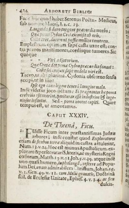 Caput XXXIV. - Caput XXXV.