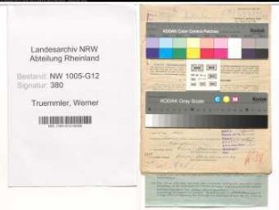Entnazifizierung Werner Truemmler , geb. 06.04.1911 (Ingenieur)