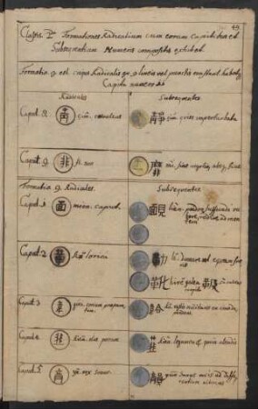 Formatio .9. est, cujus Radicalis ex 9. lineis vel punctis constant. habetque capita numero 11