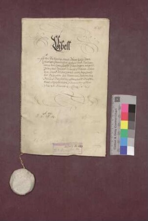Die Einkünfte der Herrschaft Ebringen zu Ebringen, Talhausen, Berghausen, Biezighofen, Biengen, Fahrnau etc. werden verzeichnet.