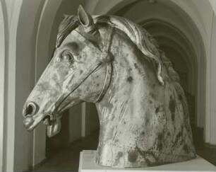 Pferdekopf der Quadriga vom Brandenburger Tor (Quadrigaentwurf)