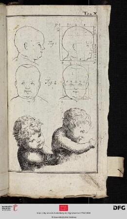 Tab. X [Kinderkopf (Proportionen; Raster); Putten]