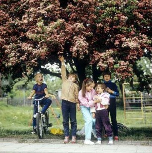 Rotdorn : Colditz. Kinder unter einem Rotdorn Busch