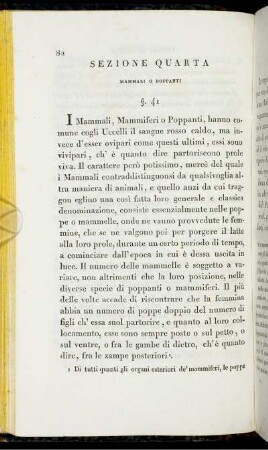 Sezione Quarta. Mammali O Poppanti.