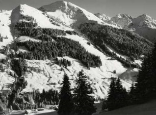 Winterlandschaft bei Unterwasser in Graubünden