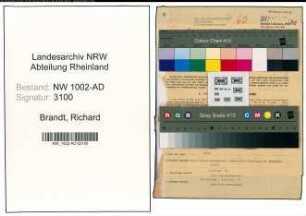 Entnazifizierung Richard Brandt, geb. 22.05.1895 (Kaufm.Angest.)