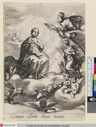 [La destination de la Ste. Vierge; The destiny of the Virgin; Die Bestimmung der Heiligen Jungfrau]