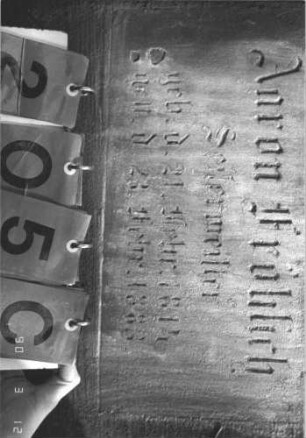 Grabstein 205 (Index: 99786014) Maße HxBxT: 162x63x23 cm Symbolik: Levitenkanne: Grabstein 205C