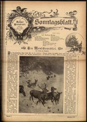 Ausgabe vom Sonntag, den 17. Februar 1895.