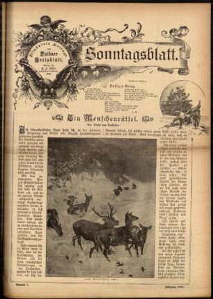 Ausgabe vom Sonntag, den 17. Februar 1895.