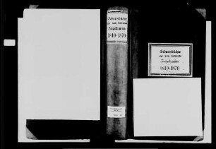 Ziegelhausen, katholische Gemeinde: Geburtenbuch 1810-1870