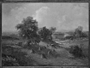 Sommerlandschaft