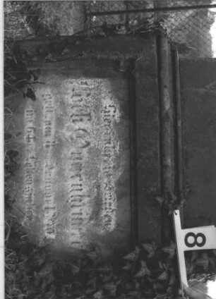 Grabstein 8 (Index: 99805015) Material: Sandstein Zustand: deutsche Inschrift im Sockel verwittert Maße HxBxT: 195x68x28 cm Beschreibung: Stele auf Doppelsockel mit Rundbogen, Inschriftennische rechteckig mit zwei Kleeblattbögen als Verzierung, Inschriftennische im Sockel querrechteckig Symbolik: Engel im Rundbogen, Blattornamentik am Rundbogen: Grabstein 8 (Detailaufnahme 1)