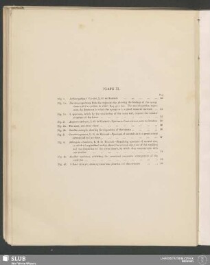 Plate II