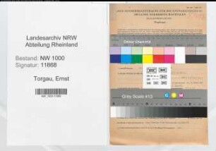 Entnazifizierung Ernst Torgau, geb. 31.03.1898 (Bankbeamter)