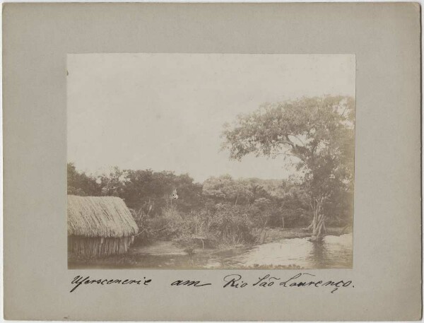 Riverside scenery on the Rio São Lourenço