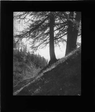 Im Engadin