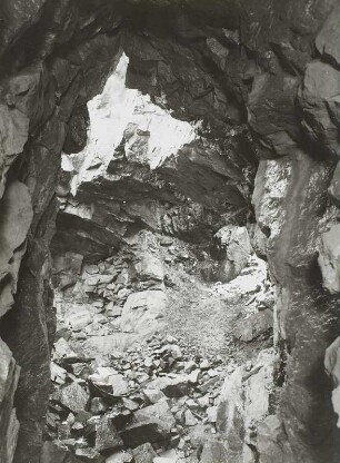 Bergbaurevier Niederpöbel-Sadisdorf, Brennörter in den Zinnklüften des Saubachtales