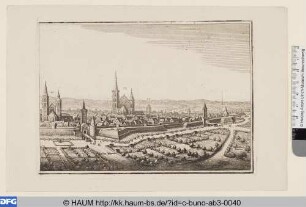 Ansicht von Braunschweig, rechte Hälfte