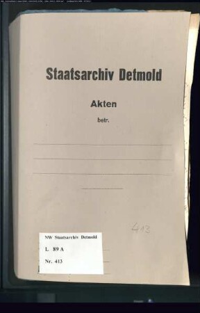 Eingaben, Gesuche [supplicata] und Anderes "ohne Bedeutung" [nullius momenti], Band 6