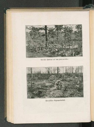 Deutscher Friedhof auf dem Hubertusrücken.