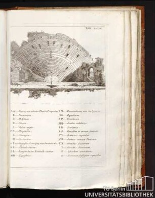 TAB XXXIV