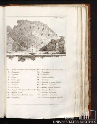 TAB XXXIV