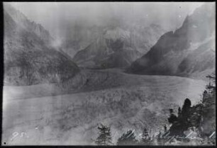 Glacier d'Argentière