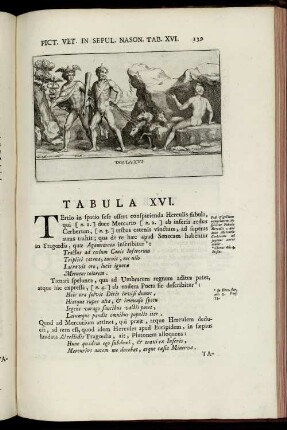 Tabula XVI. - XX. [mit Abbildungsbeschreibung]