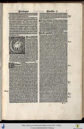 Scotus super primo sententiarum.