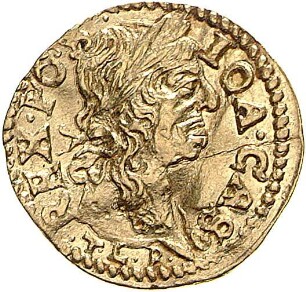 Litauen: Johann Kasimir