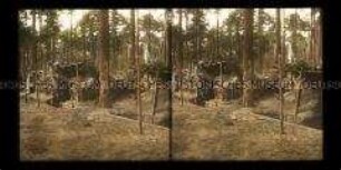 Unterstände im Wald