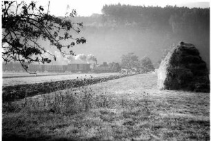 Lok 21, Güterzug G 300, Strecke Stein - Rangendingen, Starzeltal