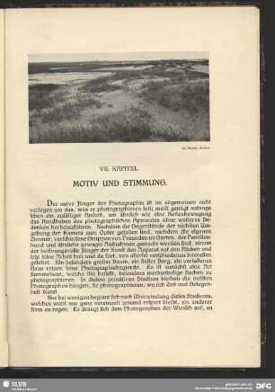 Dünenlandschaft