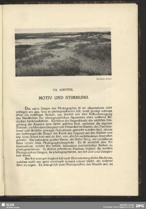 Dünenlandschaft