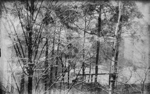 Dresden-Blasewitz, Johannstraße. Winteraufnahme